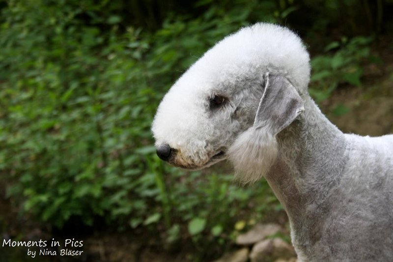 2010-05-29 Arc-en-ciel Alanna (8).jpg - Arc-en-ciel Alanna 2010-05-29